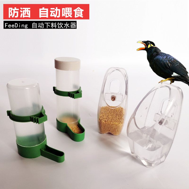 鸟用饮水自动喂食器喂喝水八哥鹦鹉食盒鸟食喂食器