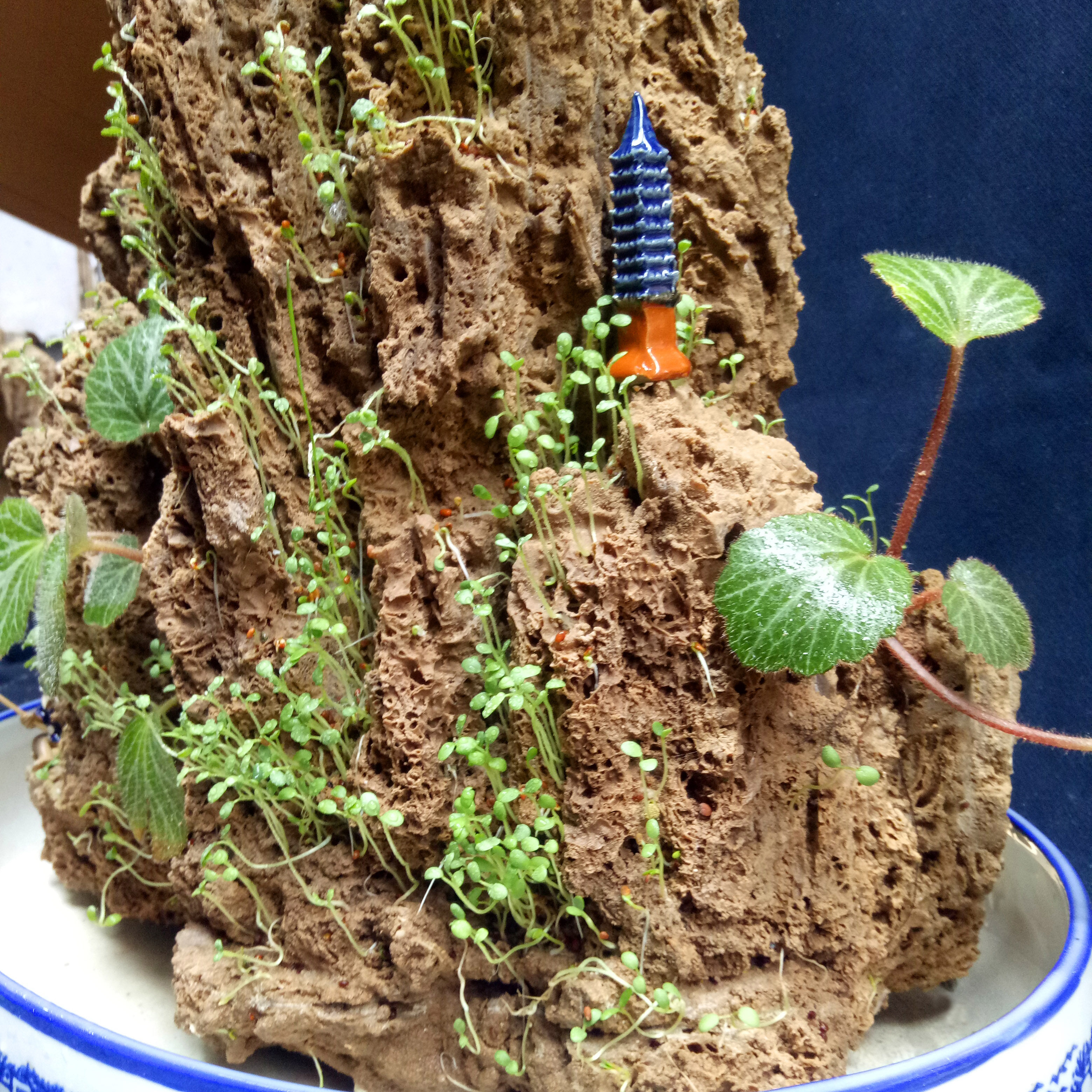 30-35厘米上水石原石盆景吸水石假山造景天然毛石加湿器包邮