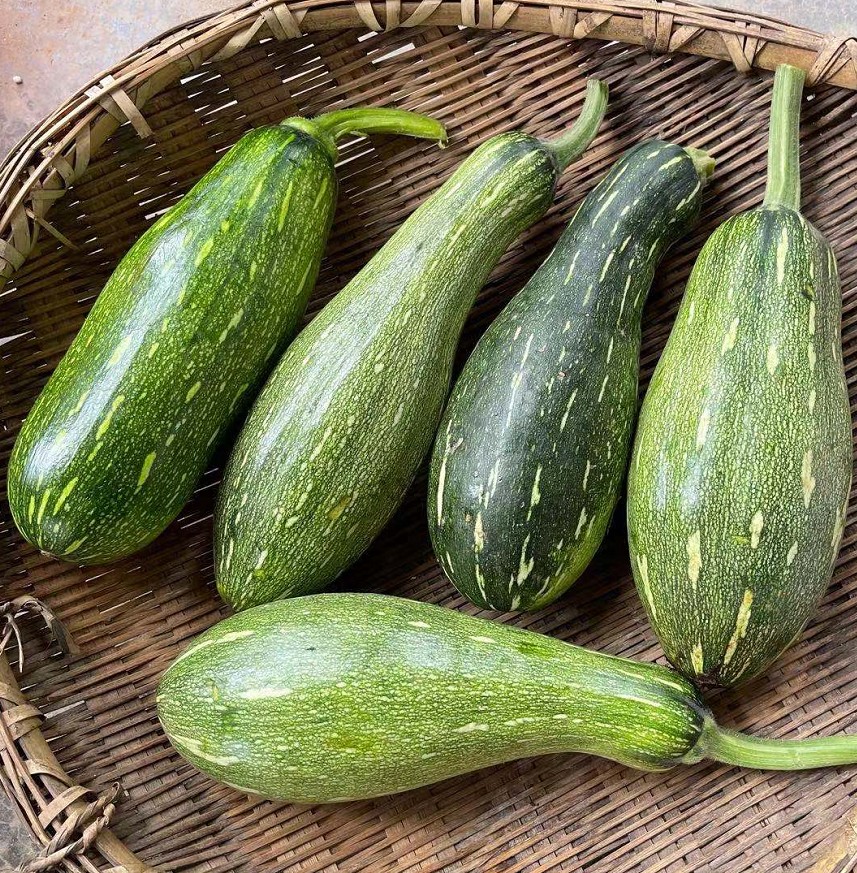 南瓜新鲜长条嫩南瓜条状小小南瓜农家自种应季南瓜