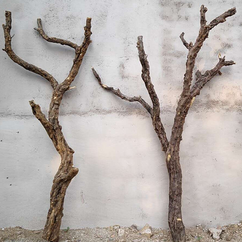 石榴树枝装饰干花木树干果客厅造型枯树枝干干花