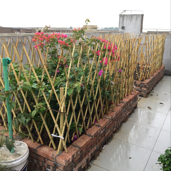 户外竹篱笆栅栏围栏室外花园爬藤架伸缩竹片