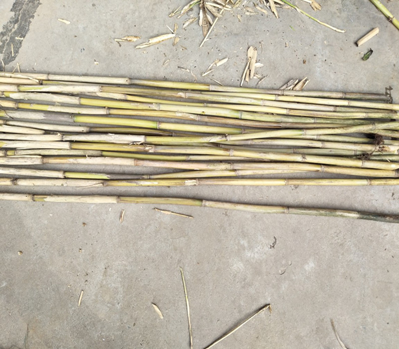 芦苇天然扬州农家芦柴杆搬家用插花干花装饰干花