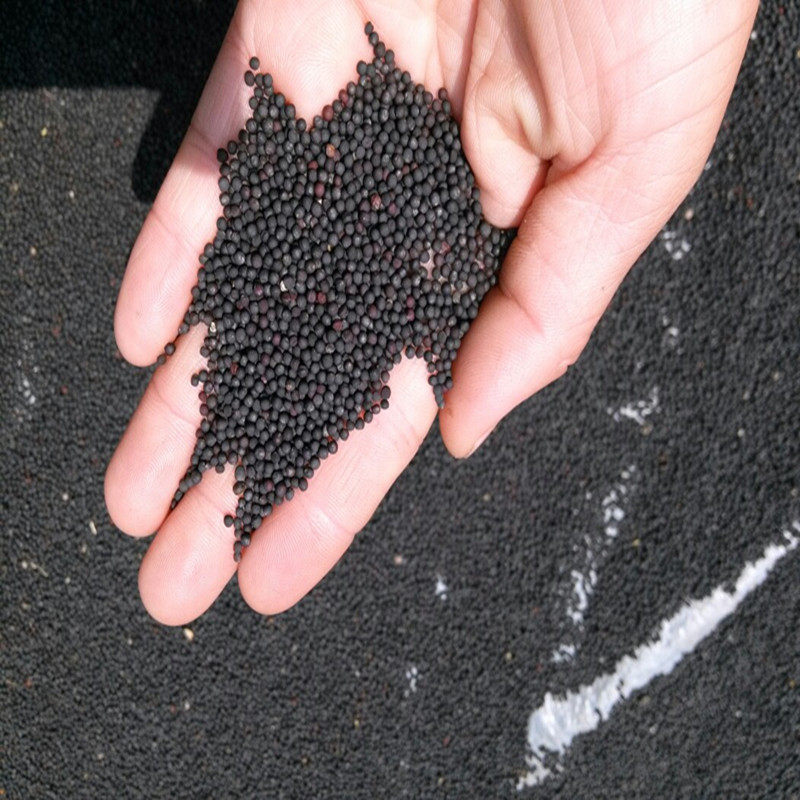 优质油菜籽家庭榨油原料种子鸟食农家自种新菜籽其它干货