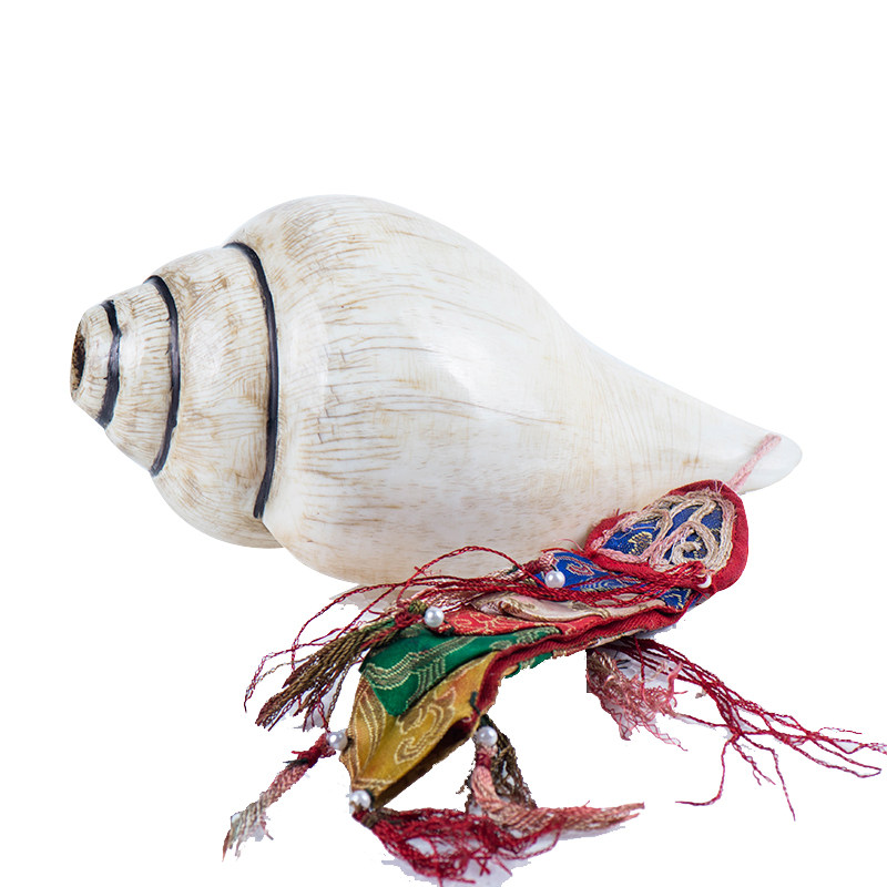 白海螺大号海螺天然斯特左旋佛家供具海螺