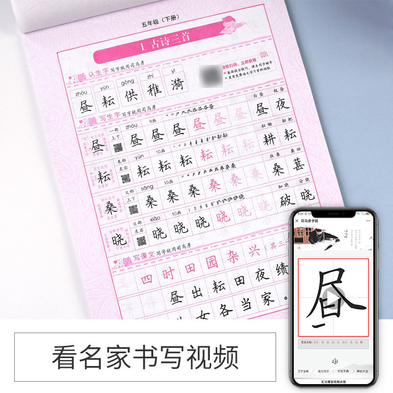 【语文 英语2本】2021春 五年级下册同步字帖 小学五年级下册语文字帖
