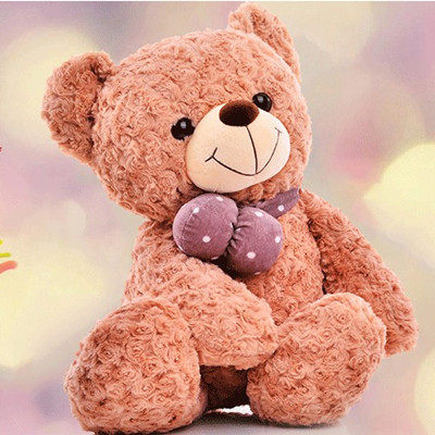精美高档泰迪熊毛绒玩具大号抱枕公仔婚庆娃娃女生毛绒布艺类玩具