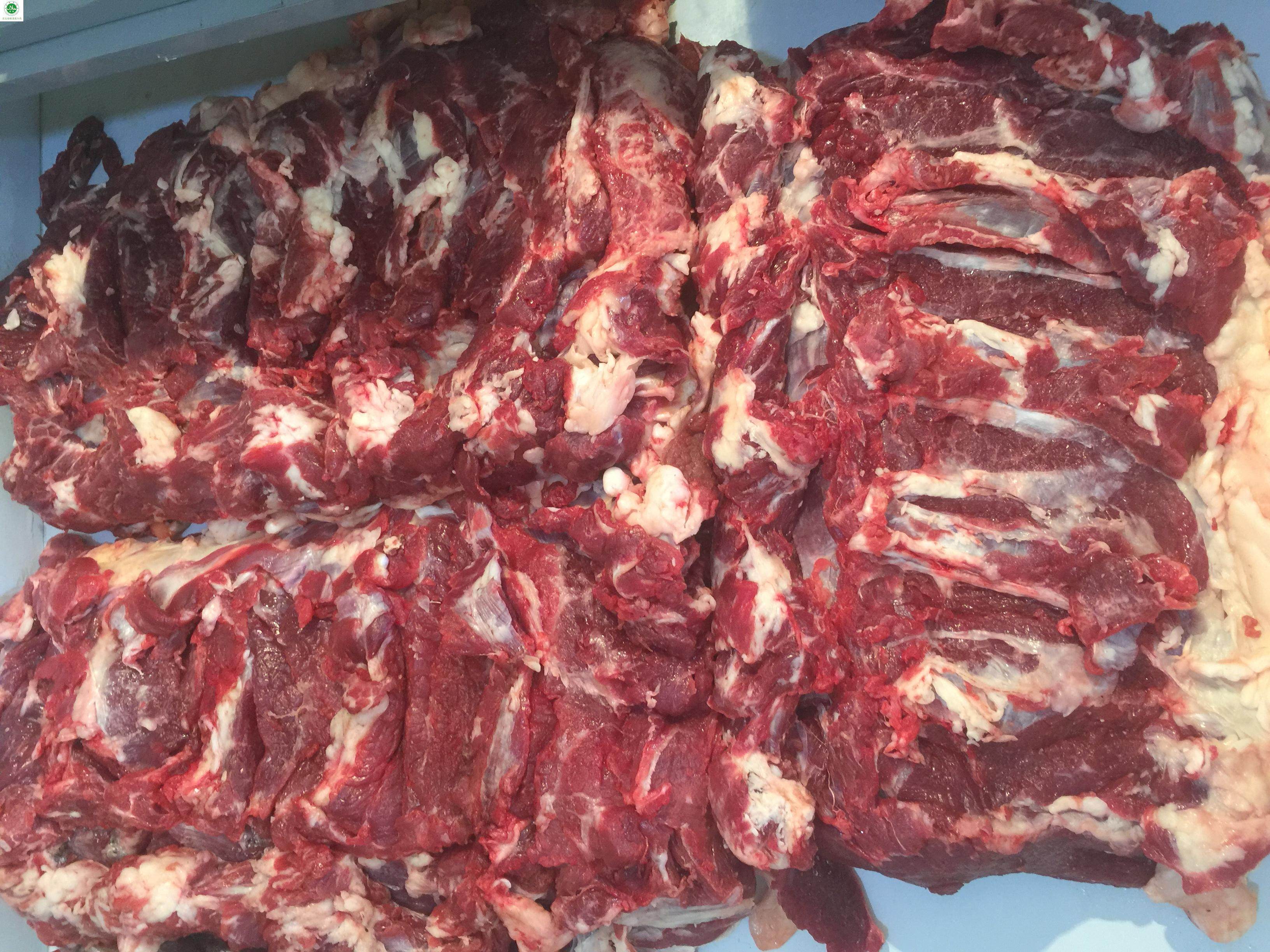 东北齐齐哈尔鲜牛肉 清真牛肉 西冷 外脊 顺丰包邮 清真现宰