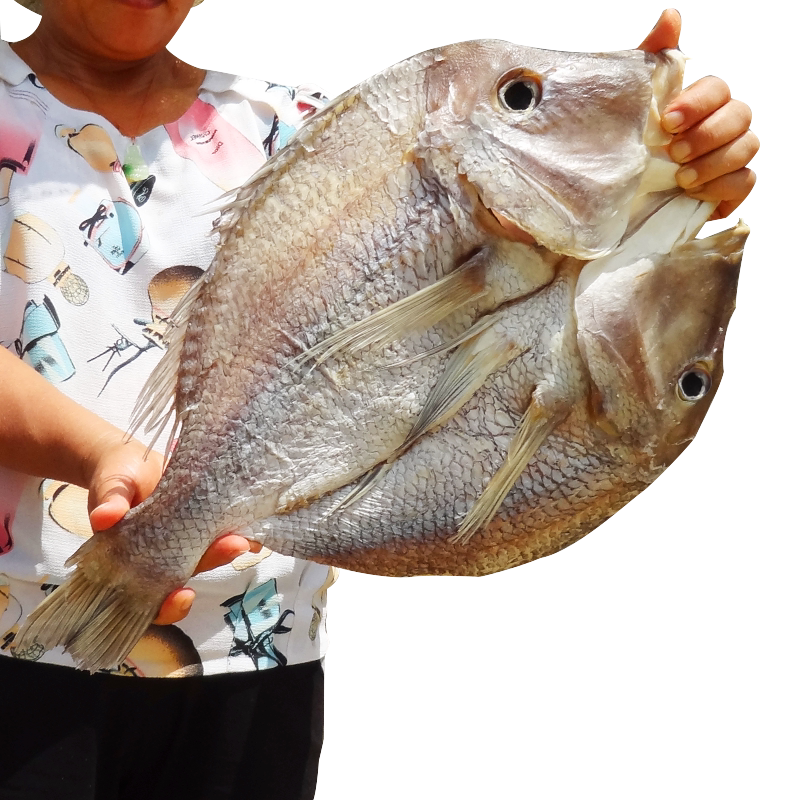 5斤立鱼渔民自晒湛江江海罗非鱼淡干赤翅咸鱼鱼干