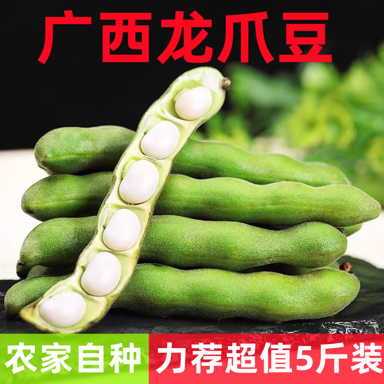 新鲜狗儿广西现摘狗爪龙爪老虎农家自种蔬菜其它