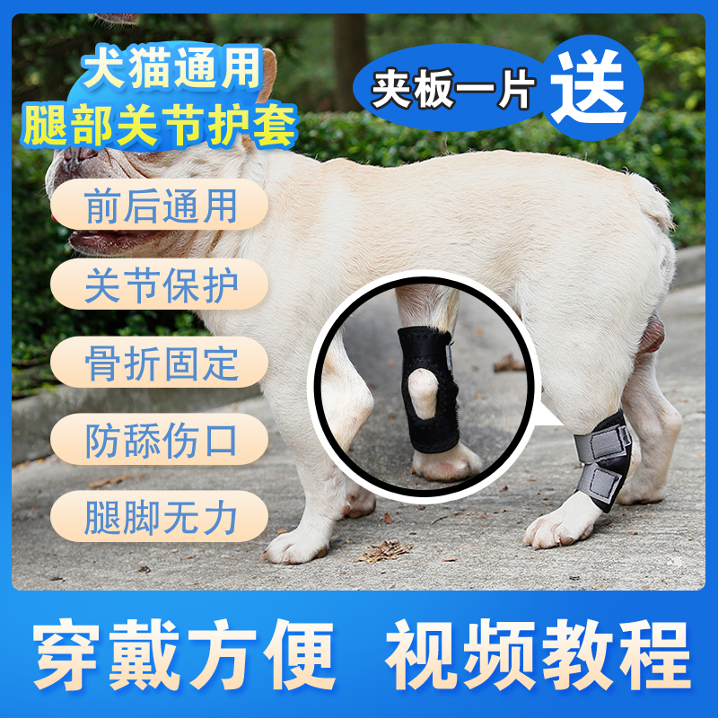狗狗腿部骨折固定夹板矫正宠物急救护腿关节其它服饰配件
