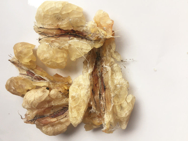 长白山地道雪蛤油独立包装30克一份优惠券加满减包邮顺丰快递