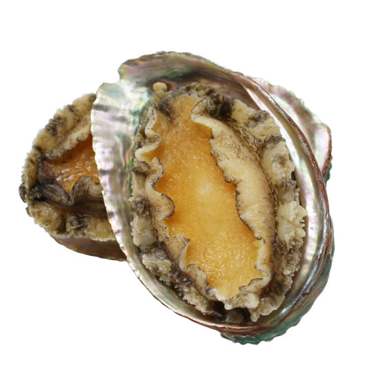 鲍鱼大连深海去肚去齿熟冻8头装开袋即食大号鲍鱼