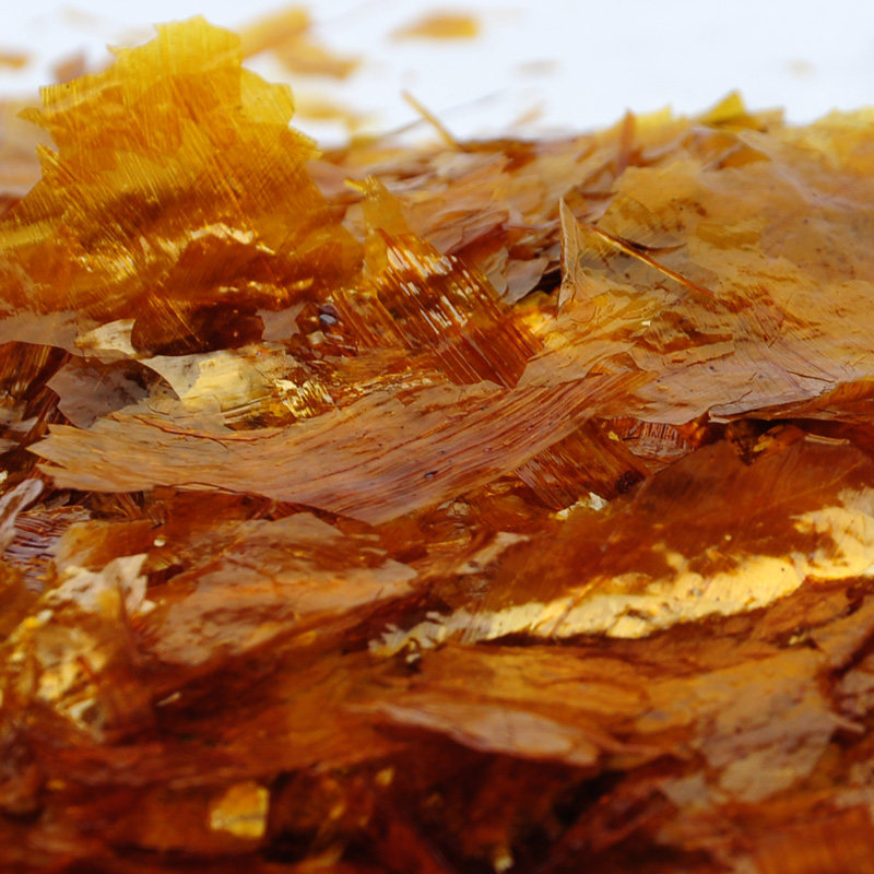 印度进口虫胶漆片天然士力片金黄 薄 速溶 家具维修材料 包邮