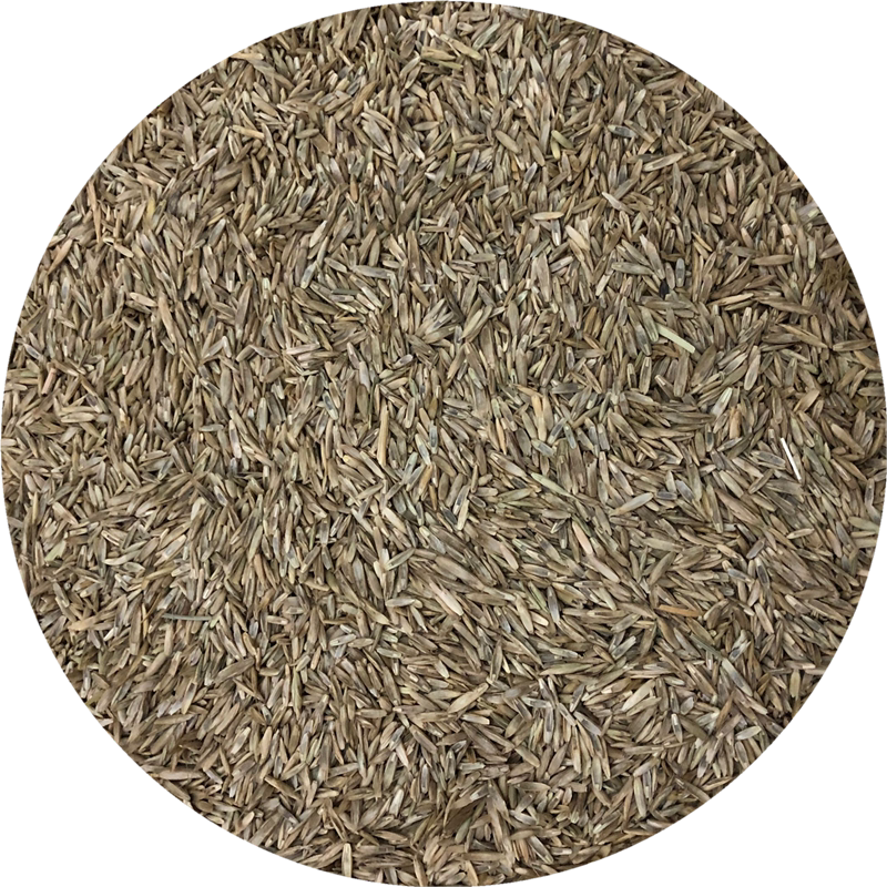 草种子10g送波斯菊花种子1千粒 肥料