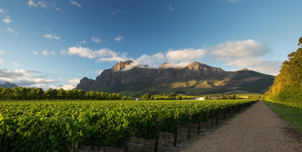 罗伯乐富传统干红rupertrothschildvigneronsclassique干红静态葡萄酒