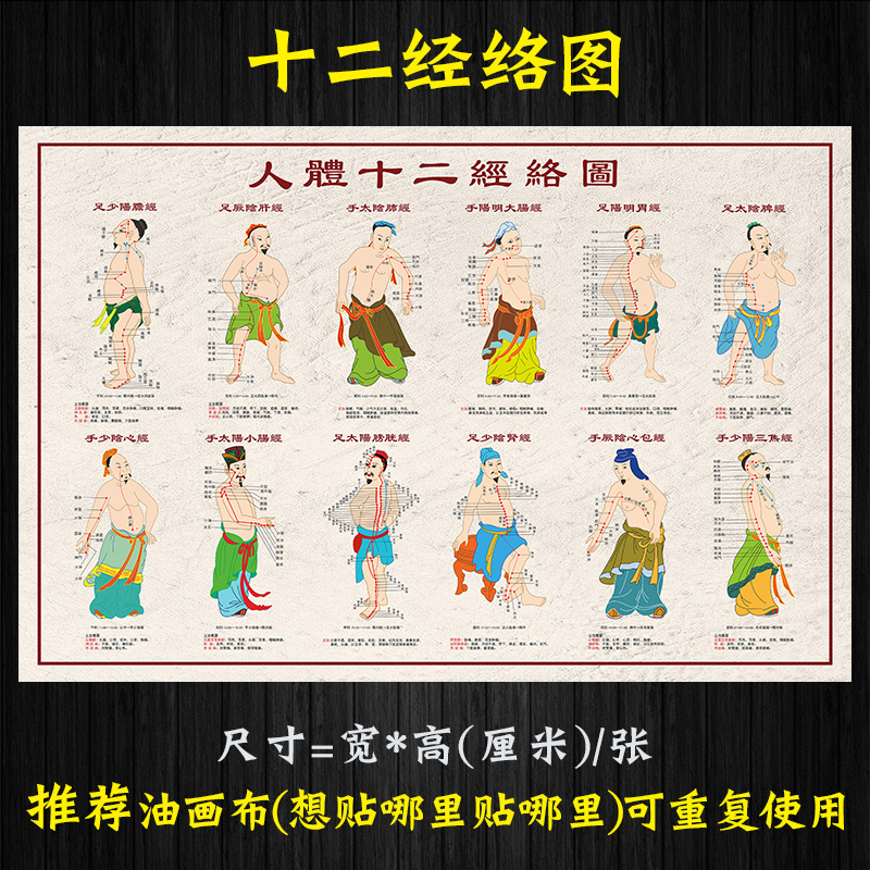 人体十二经络挂图十四正经穴位图大挂图中医养生经脉走向图经络图
