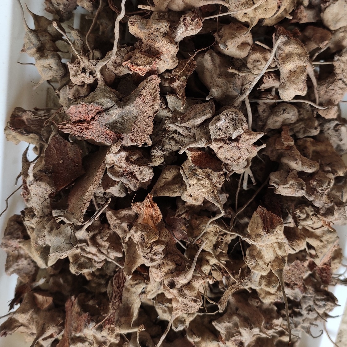 野生药材菝葜根干货 金刚藤刺根铁菱角乌鱼刺冷饭头铁刺苓山归来