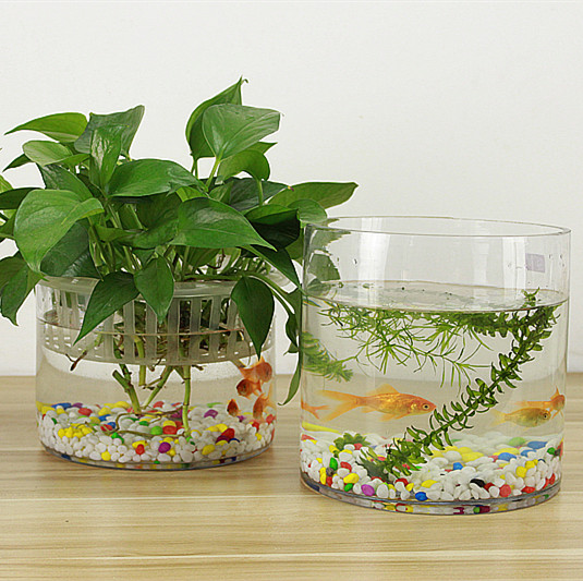 创意水族箱生态圆形玻璃金鱼缸 大号乌龟缸 迷你小型造景水培花瓶