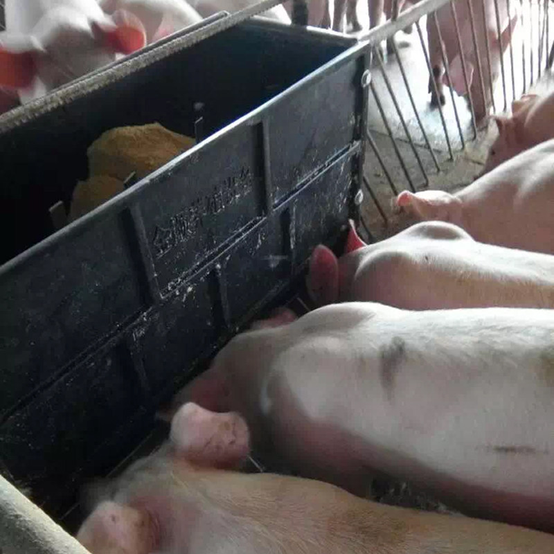 仔猪双面料槽小猪补料槽猪保育料槽塑料采食补料槽喂猪吃食下料器