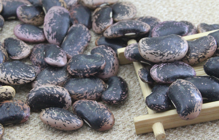 农家大黑花芸豆 肾豆大花豆大芸豆五谷牛眼豆类杂粮黑芸豆 250克