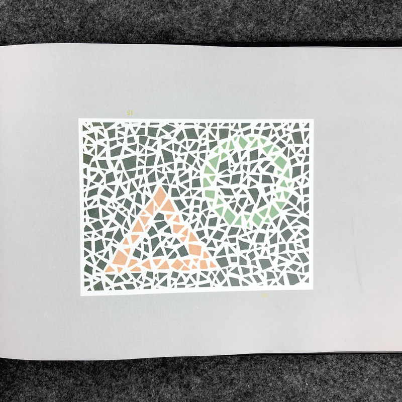 色盲检查驾照图谱辨色全套检测测试色弱体检耳鼻喉科学