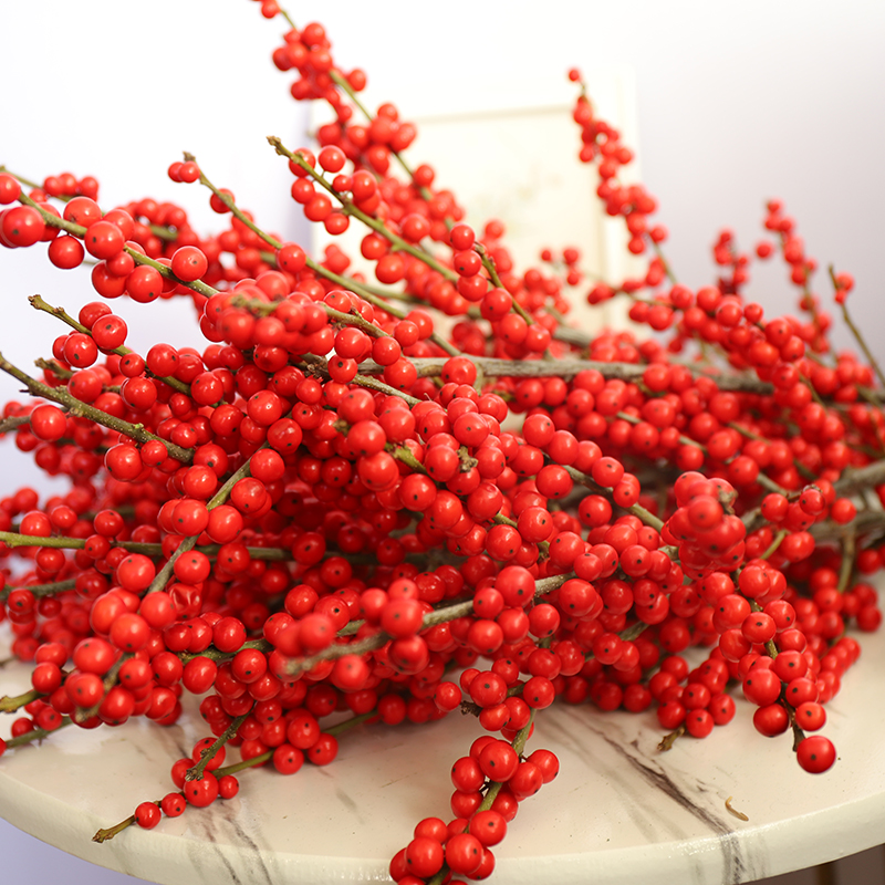 进口北美红色冬青多果鲜花水养过生日送人北京鲜花速递(同城)