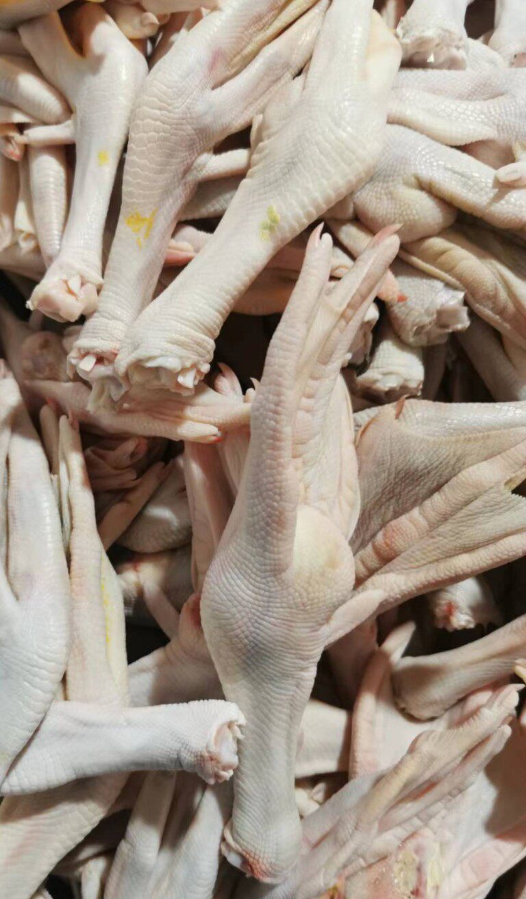 广东部分12小时到货1包1公斤18个新鲜鹅脚生鹅掌鹅肉