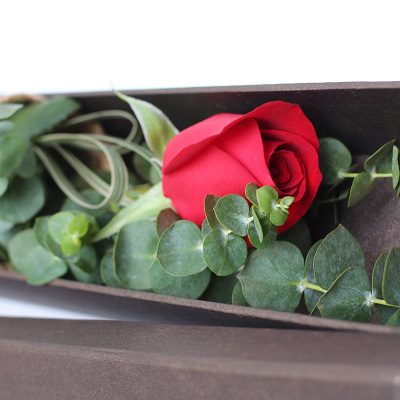 1朵枝单支红玫瑰花束礼盒装情人节 生日礼物鲜花速递广州同城送花