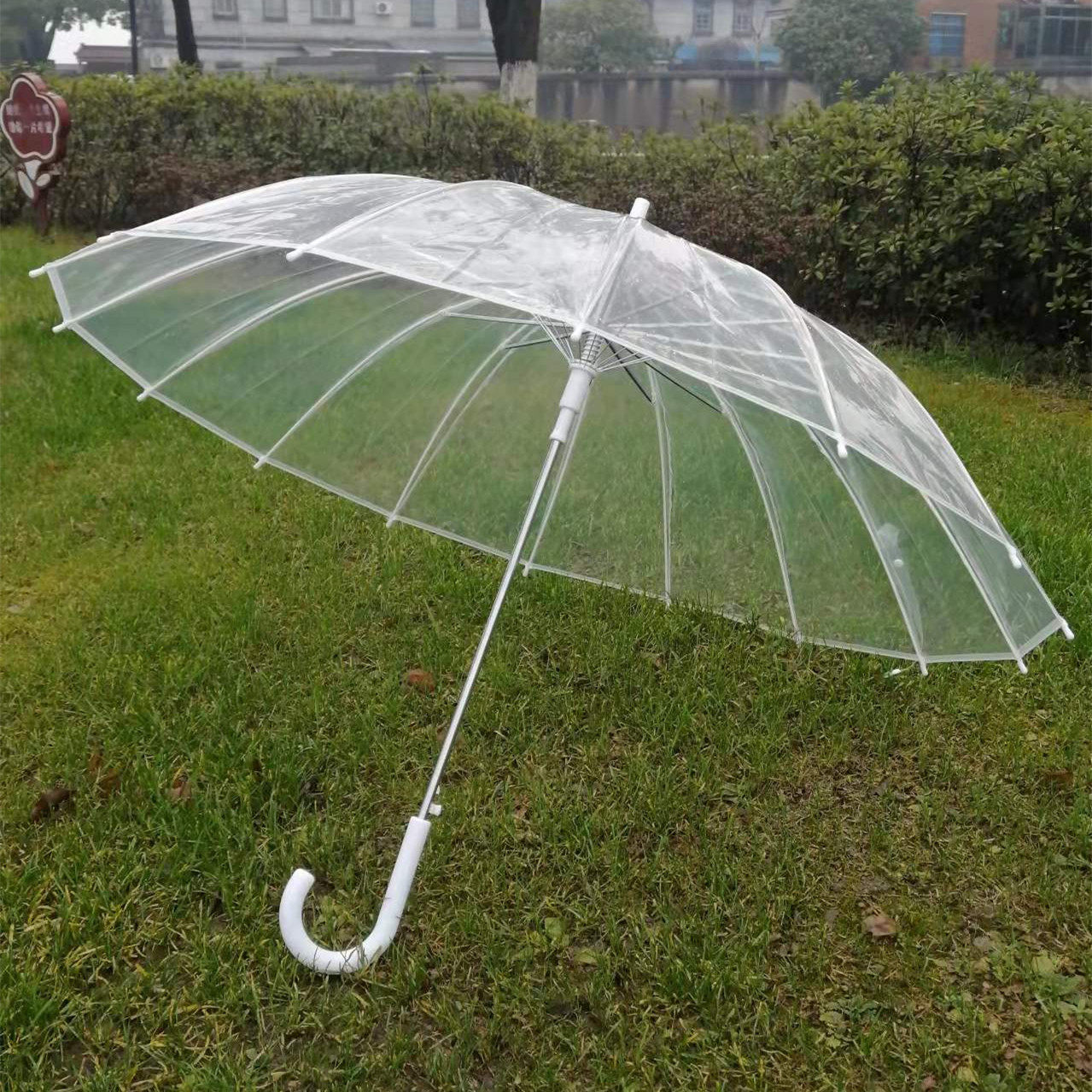 加厚透明雨伞长柄小清新日本韩国创意自动男女伞
