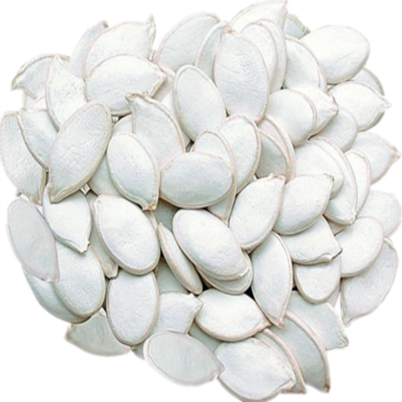 南瓜子炒货原味盐焗味500g大颗大片熟散装特大粒大颗粒新货白瓜子