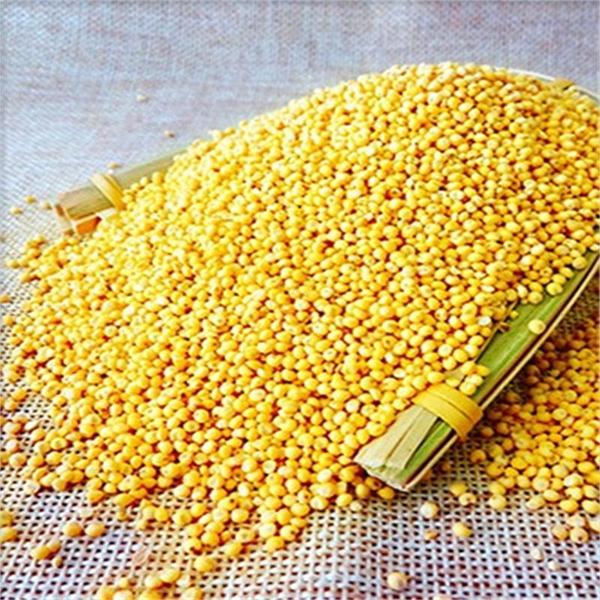 东北农家自产新黏大黄米粘黄糯小米粽子豆包小米