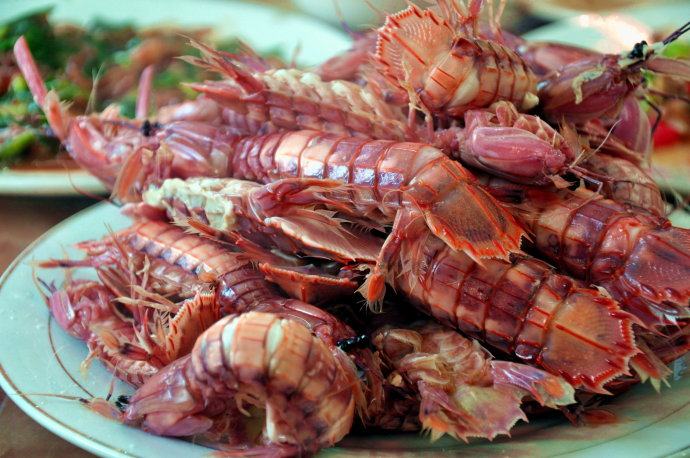 大连皮皮虾鲜活海鲜即食撒尿虾肉虾爬富贵琵琶活虾