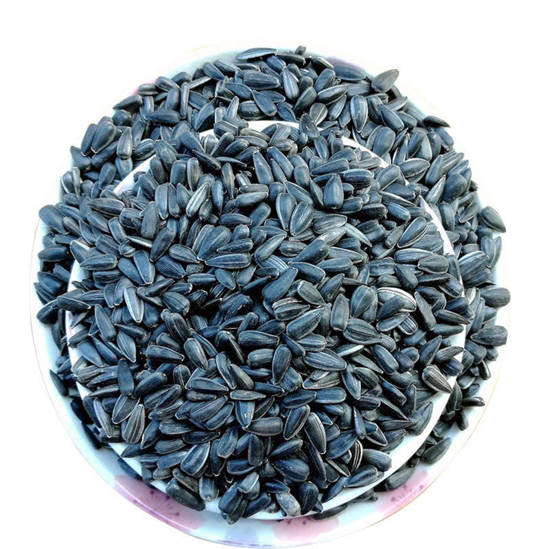 日本经典长茄子种子/籽 黑紫色 特长高产四季盆栽蔬菜种苗苗秧孑