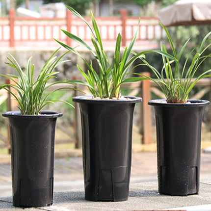 塑料兰花盆pp兰盆特大黑色兰花花盆