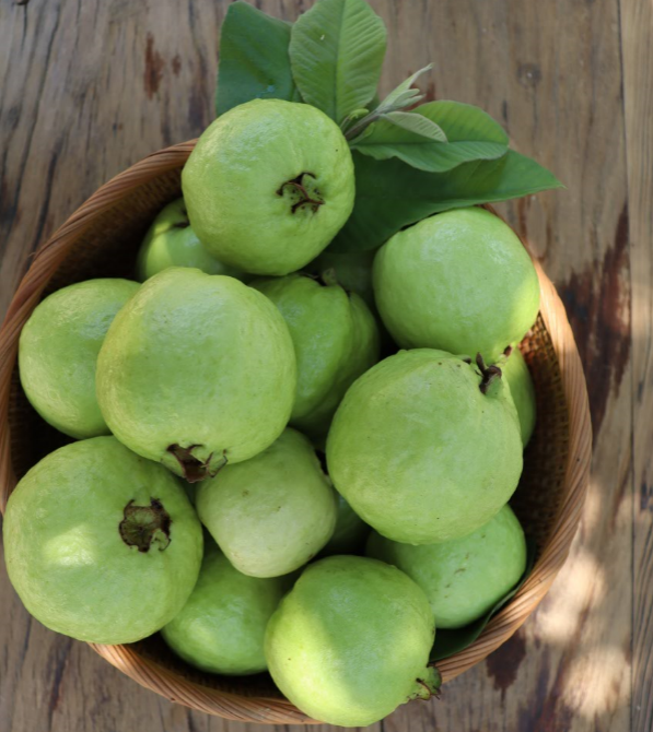 红心广东红宝石芭乐番石榴香甜爽口5斤秋果新鲜芭乐