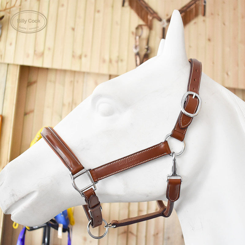 笼头马术装备耐用调节真皮龙头牵马马笼头cook牵马