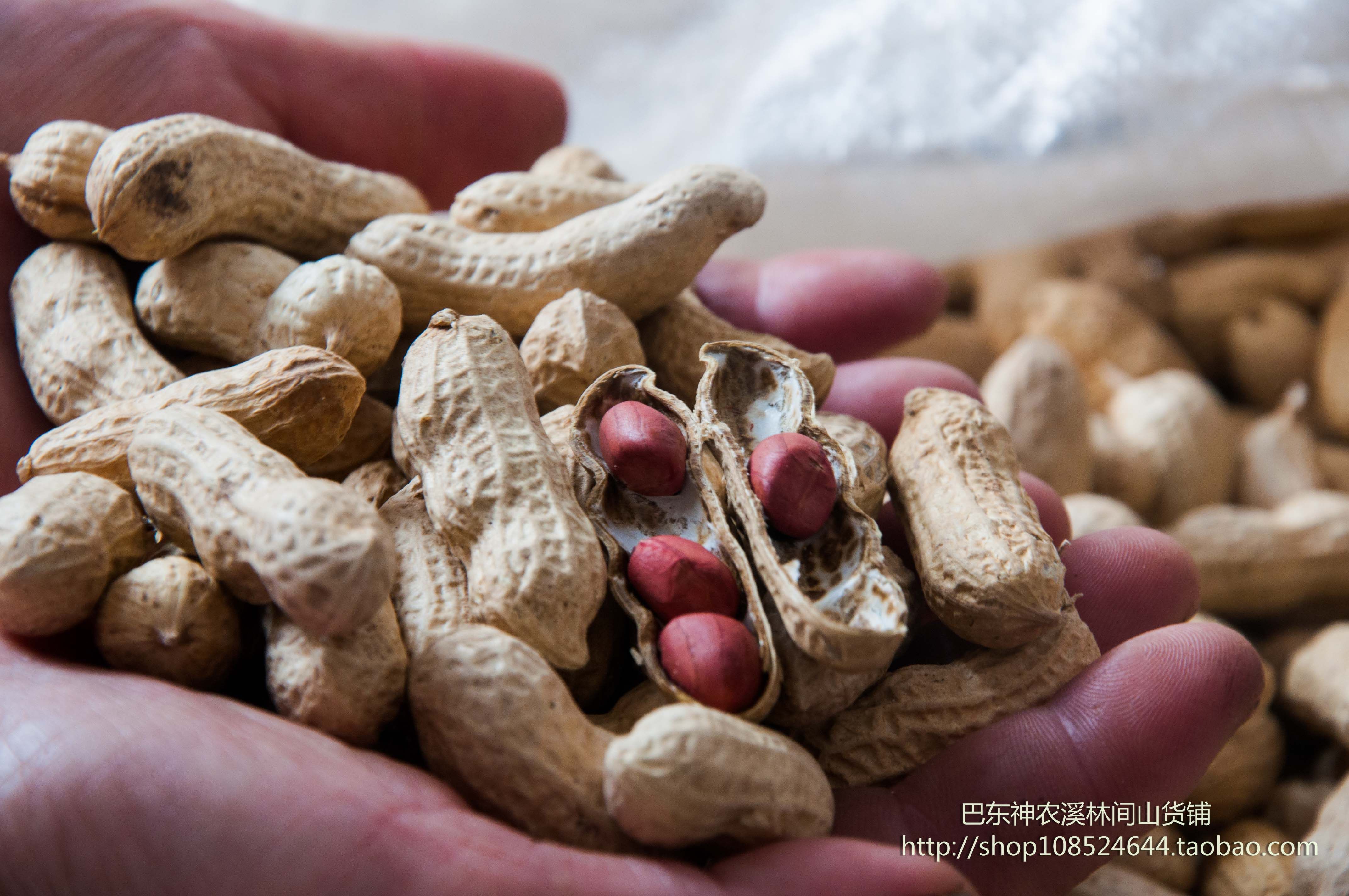 花生2022湖北恩施高山土特产农户绿色红皮新鲜其它