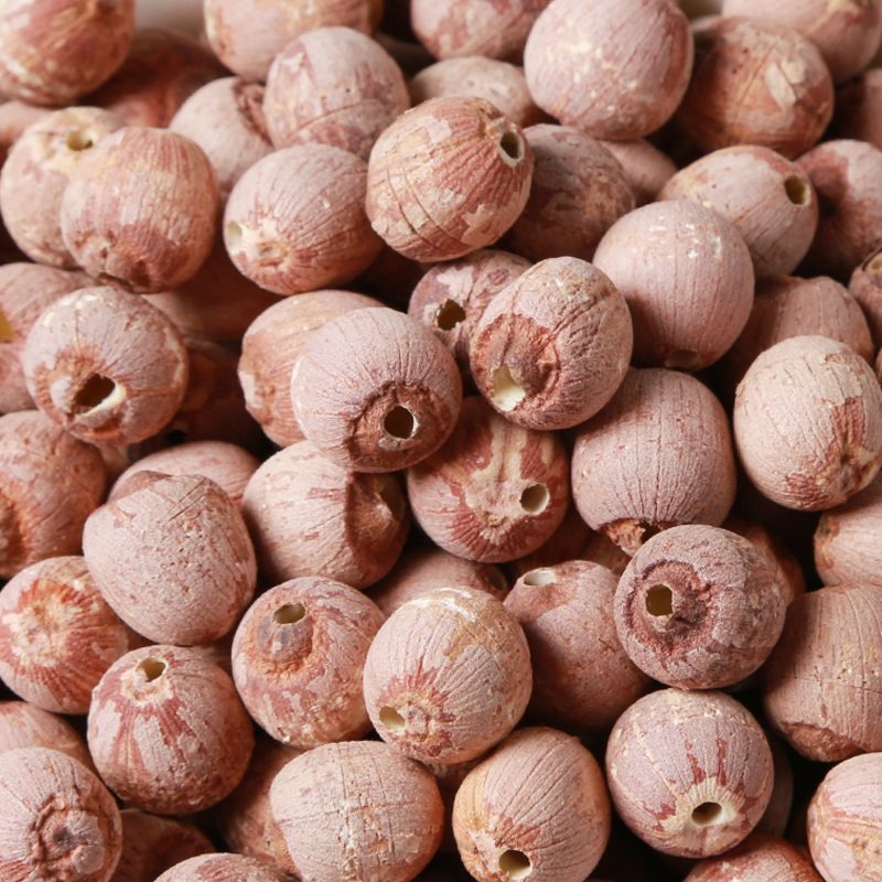 莲子洪湖王文新鲜去芯红莲带皮干货农家500克莲子