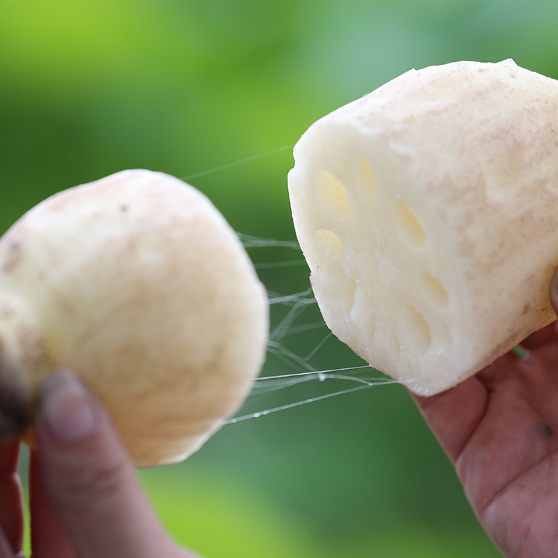 洪湖王文新鲜莲藕4斤新花藕脆水果藕白藕头莲藕