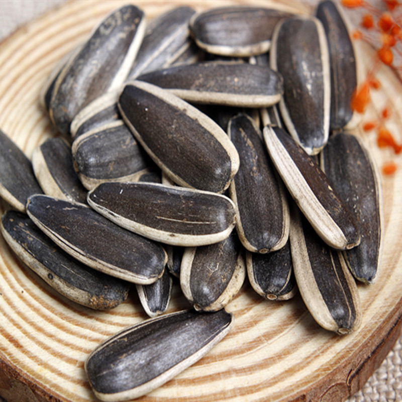 新货生瓜子生葵花籽内蒙古五原县精选特级大颗粒散装原味生葵瓜子