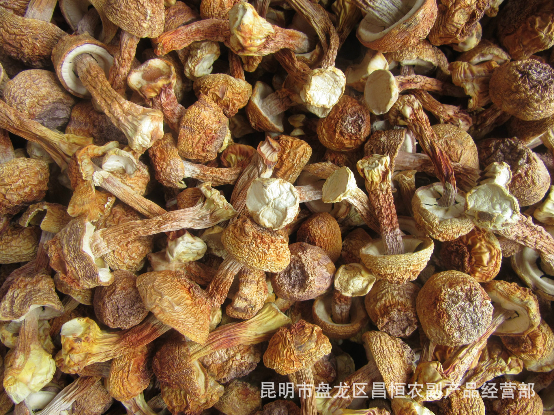 产地直销姬松巴西菇干品一一斤起批价格低质量好温控仪