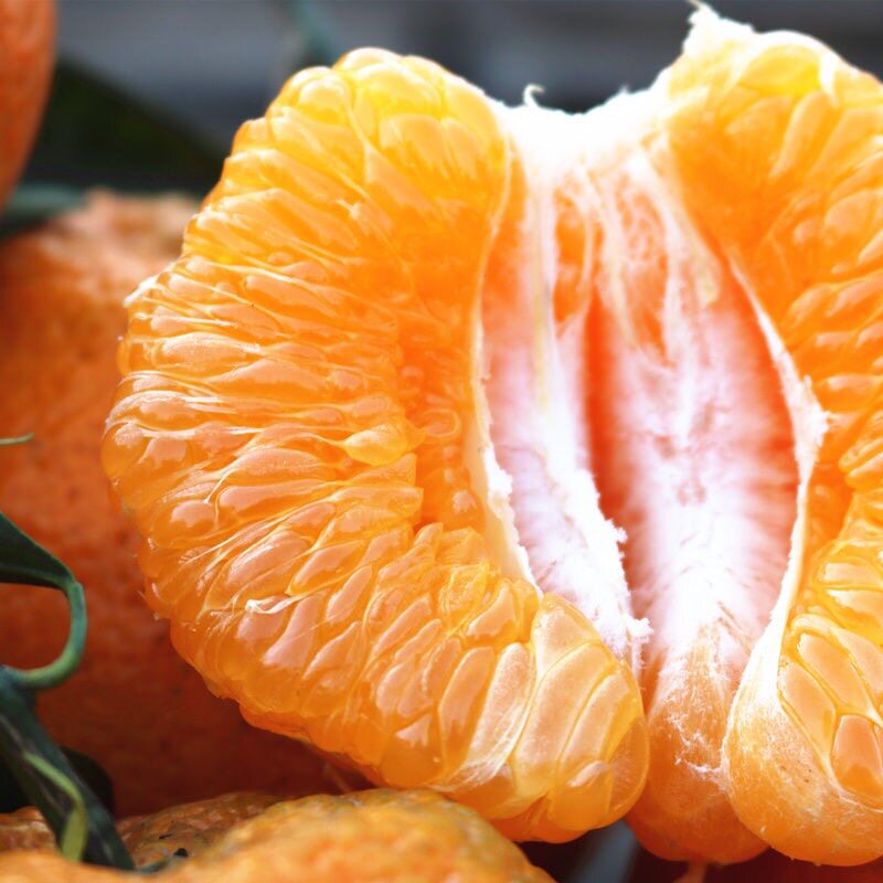 四川春见耙耙新鲜特级10斤整箱超甜粑粑丑八怪橙