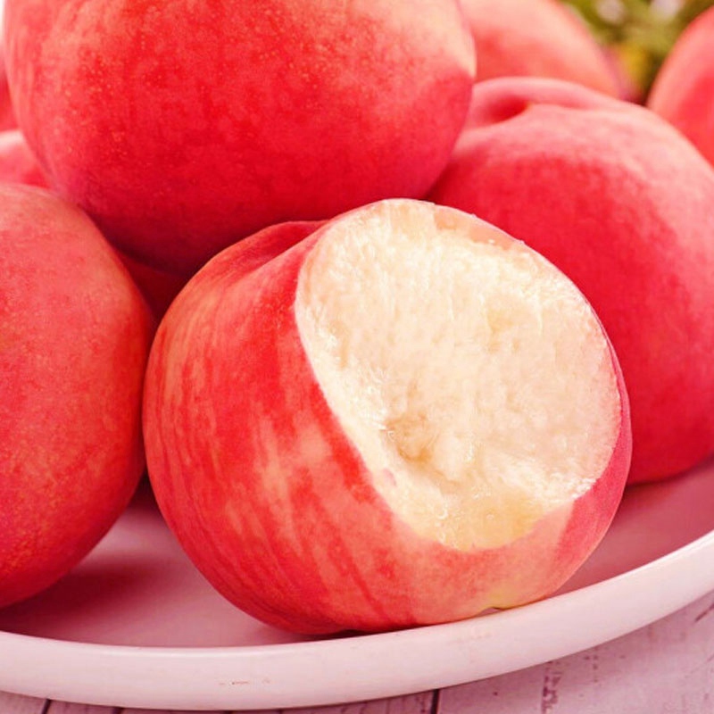 源头山东沂蒙山金秋红蜜新鲜水果桃子脆甜当季桃