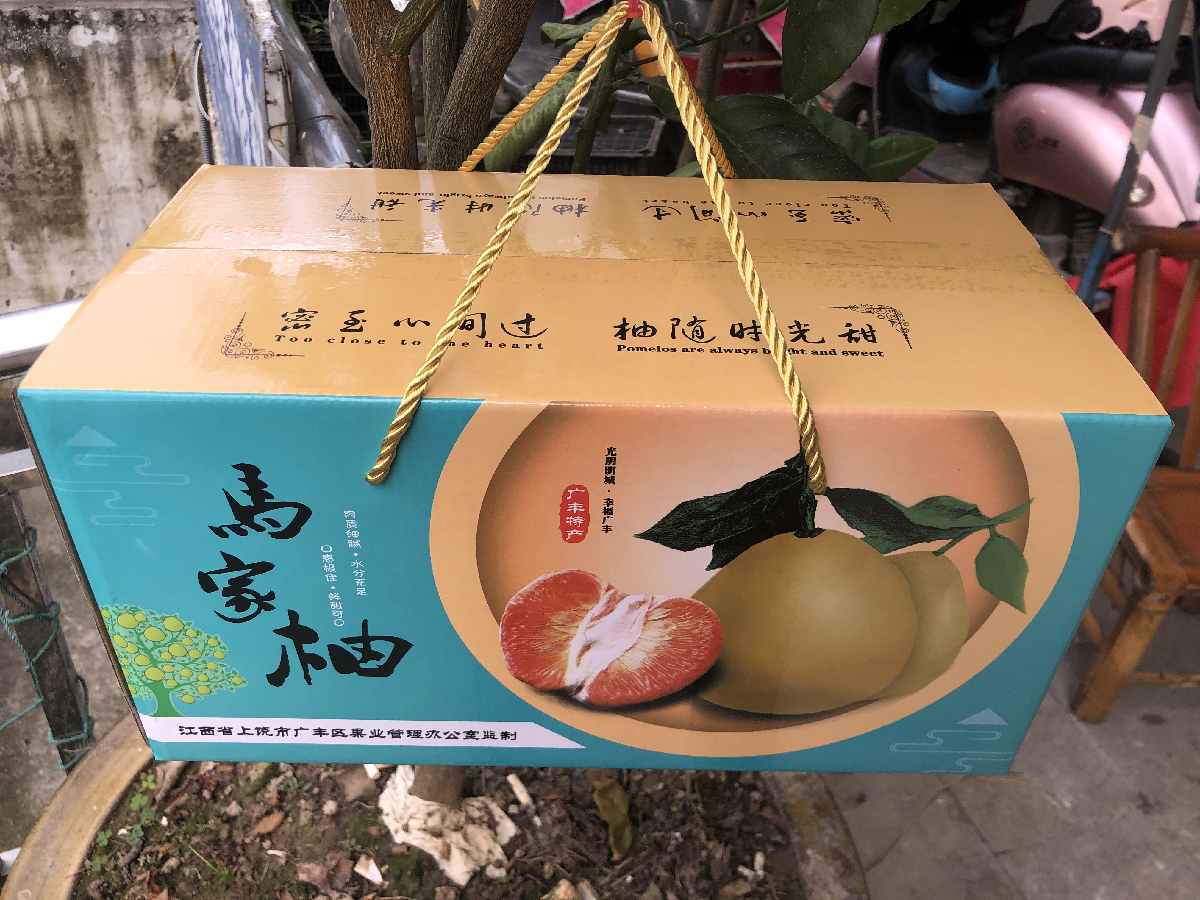 广丰马家柚纸箱柚子礼盒统版加厚特硬10个一捆包装箱子两个装