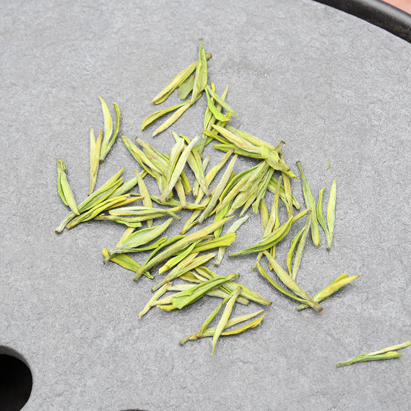 奶白金镶玉茶叶新茶叶2023年白茶高山金香5a特级安吉白茶