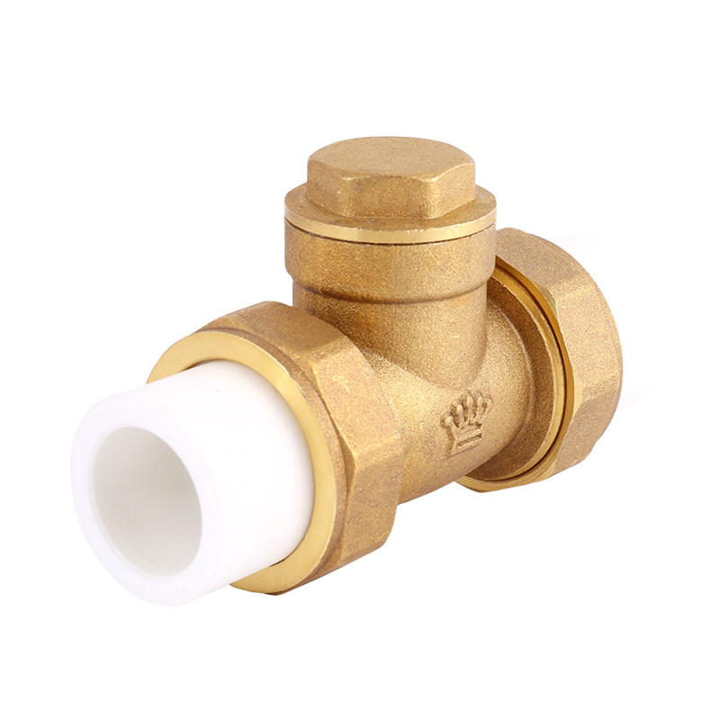 皇冠ppr止回阀双活接全卧式逆止水泵水管热熔止回阀