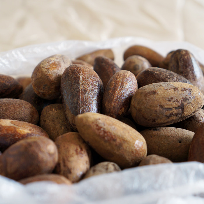 长香果香果川卤菜大玉果香料长香果炖肉烧菜香辛料调料包250g