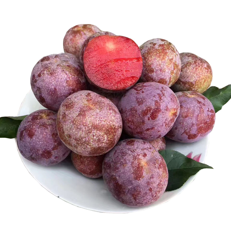 现摘现发5斤正宗信宜钱排银三华李大果红心李子李子