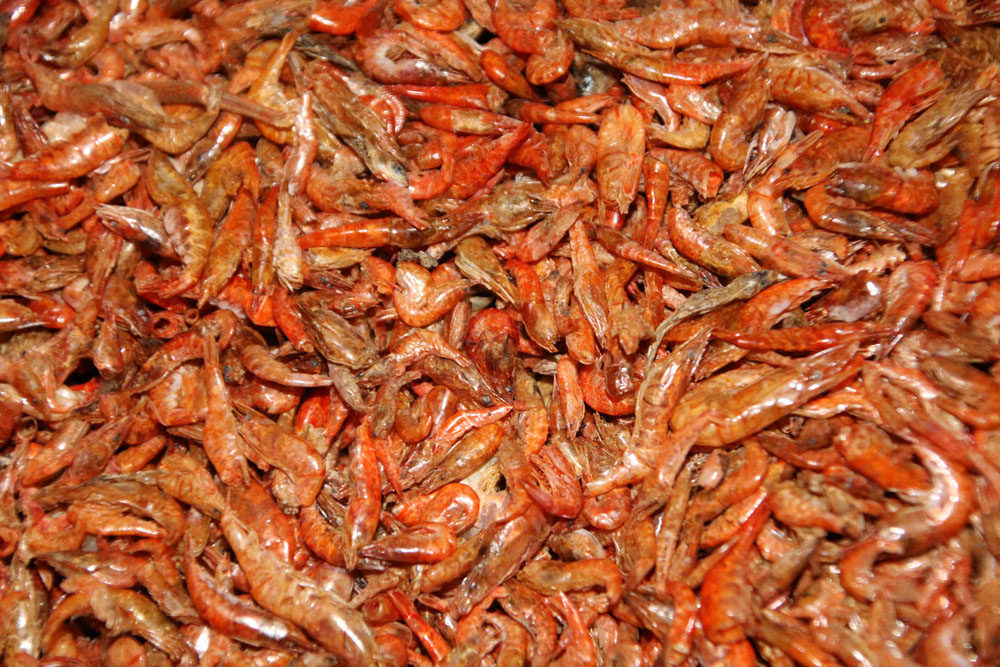 野生淡水小河虾小虾米湖南农家自晒新鲜虾皮无盐虾干江西特产干货