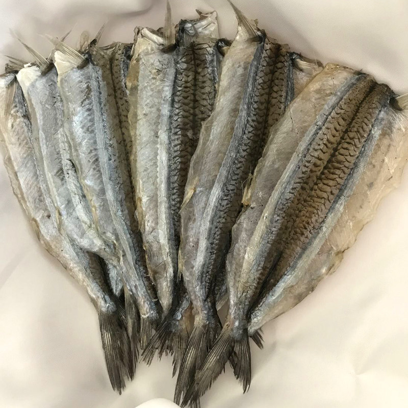 马步鱼干烧烤替代品针鱼棒棒鱼500g特产自制风干即食鱼零食